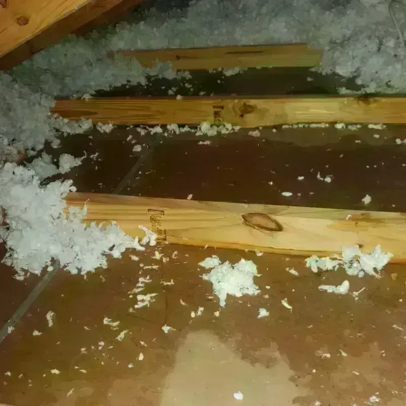 Attic Water Damage in Utuado, PR